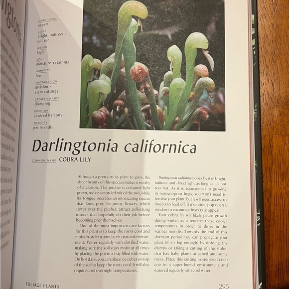 Plantopedia hardcover plant book (Phaidon) - Picture 9 of 9